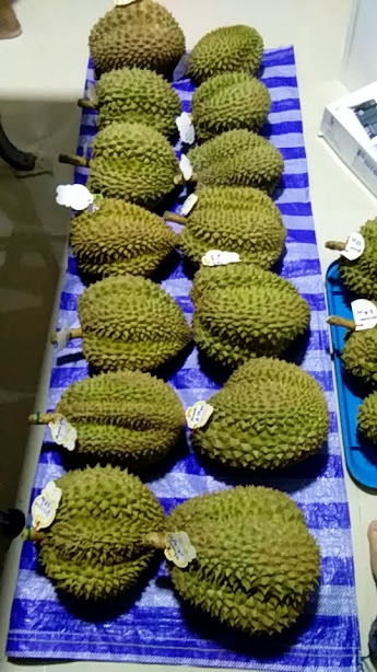 ทุเรียน เจ้ปู ดูเรียน Phu Durian