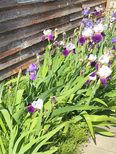 Coffee Shop «Authentic Coffee Co», reviews and photos, 1650 US-31W, Goodlettsville, TN 37072, USA