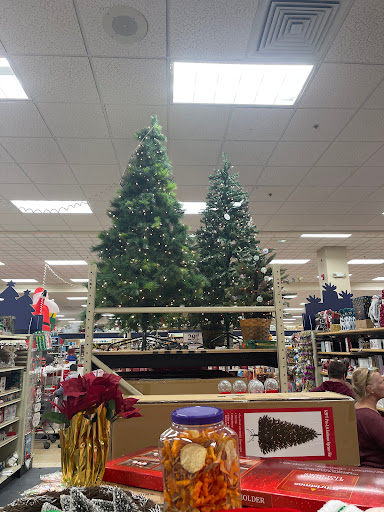 Home Goods Store «Christmas Tree Shops», reviews and photos, 41 Gusabel Ave, Nashua, NH 03063, USA