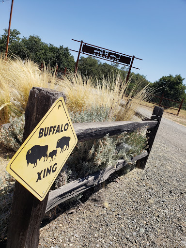 Winery «Lone Buffalo Vineyards», reviews and photos, 7505 Wise Rd, Auburn, CA 95603, USA