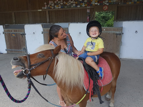 Les Galopins Poney Club à Mellac