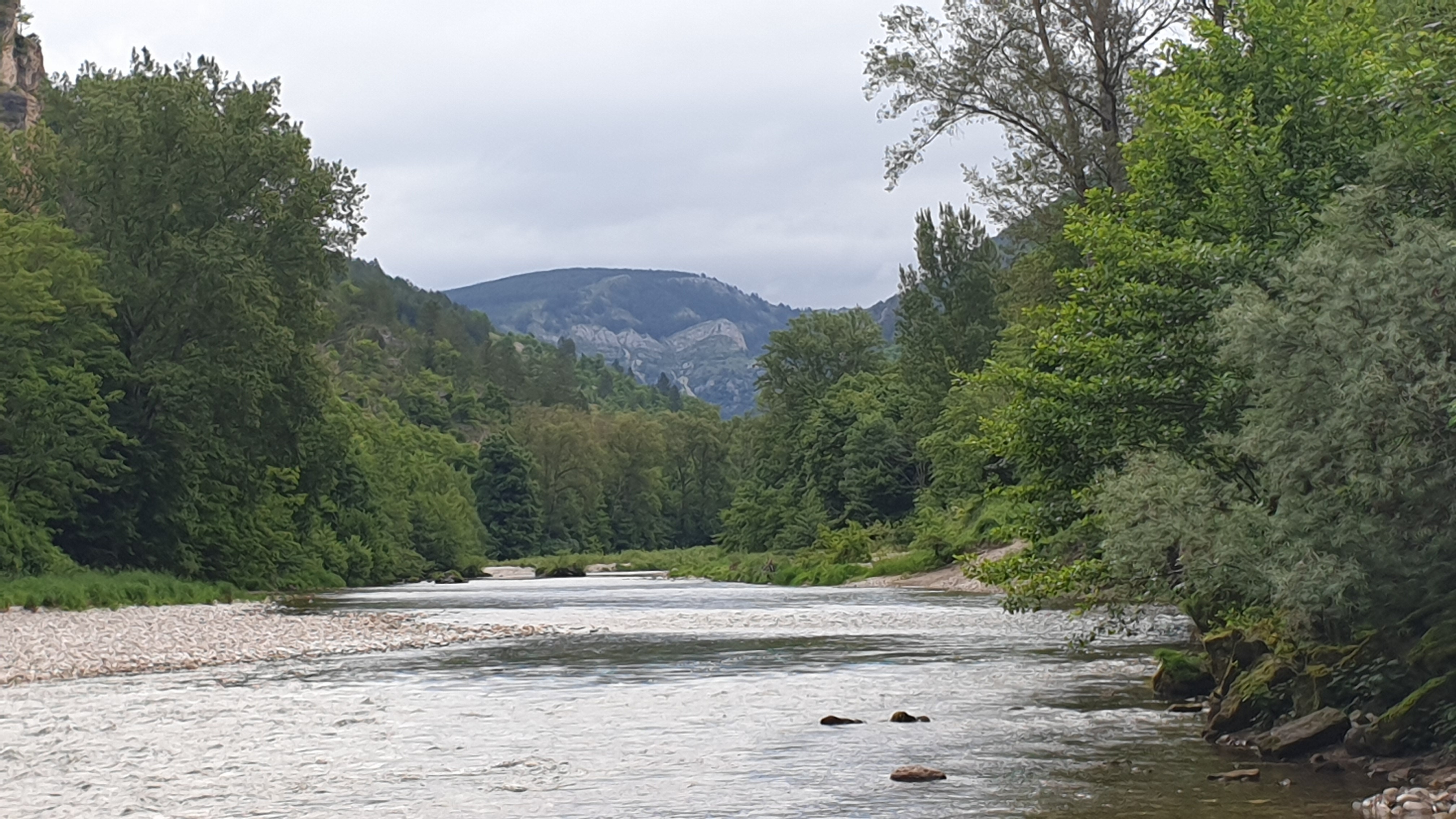Photo n° 2 de l'avis de Thierry.o fait le 15/06/2019 à 12:54