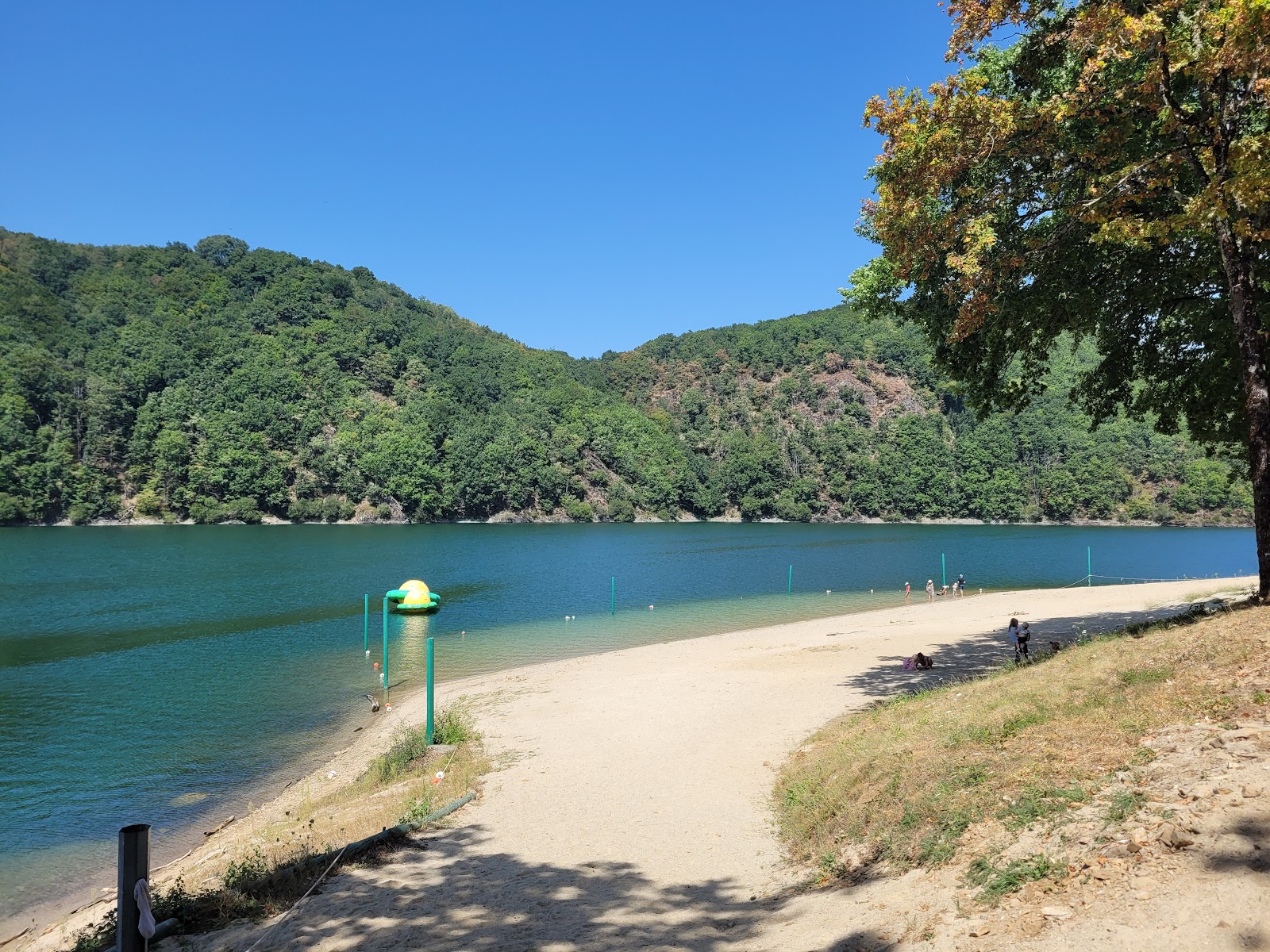 Plage de La Gineste'in fotoğrafı vahşi alan