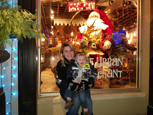 Sports Card Store «Rochester Sports Cards and Memorabilia», reviews and photos, 407 S Main St, Rochester, MI 48307, USA