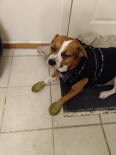 Pet Supply Store «Pet Food Warehouse, Ltd.», reviews and photos, 2455 Shelburne Rd, Shelburne, VT 05482, USA