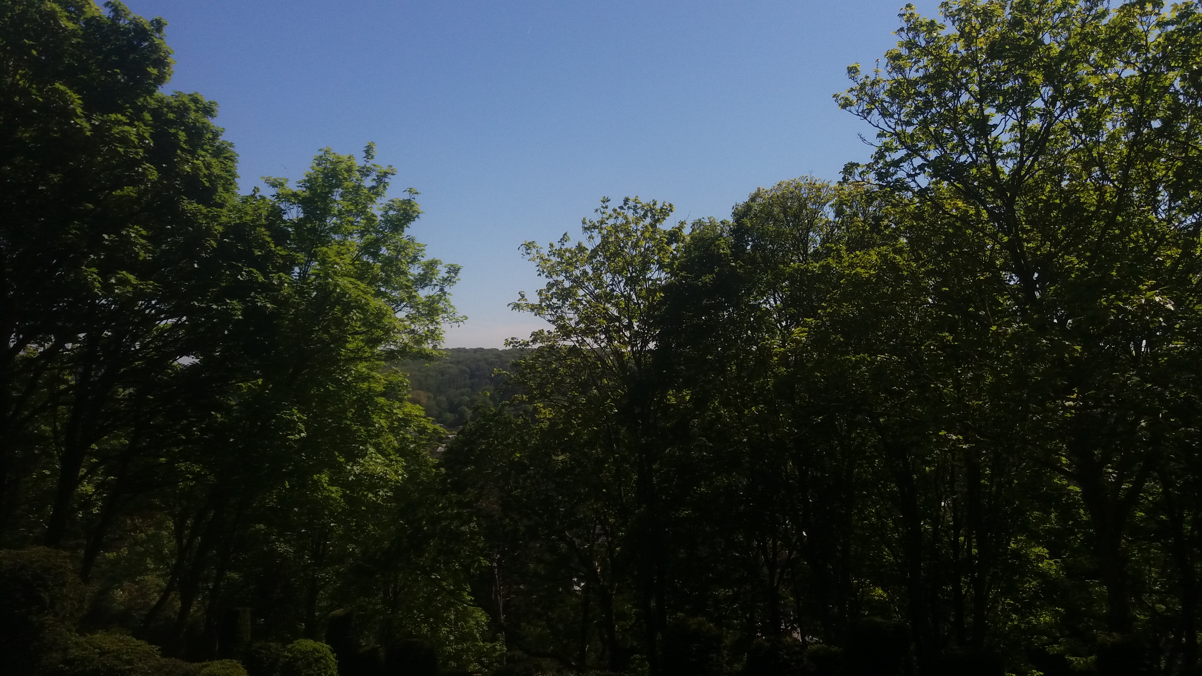 Photo n° 3 de l'avis de Chloé. fait le 13/06/2018 à 10:52