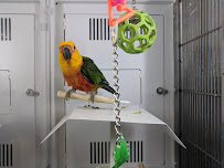 Petco - Photo 9 - Car repair in San Francisco, CA, San Francisco