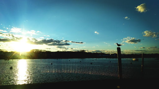 Grocery Store «Brant Rock Market», reviews and photos, 24 Dyke Rd, Marshfield, MA 02050, USA