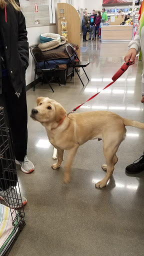 Pet Store «PetSmart», reviews and photos, 3152 Phoenix Center Dr, Washington, MO 63090, USA