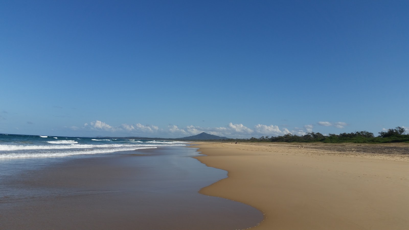 Photo de North Beach avec un niveau de propreté de très propre