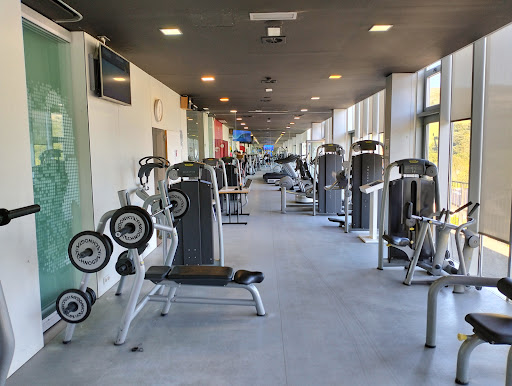 Frontón De Zierbena Pilotalekua en Zierbena, Vizcaya