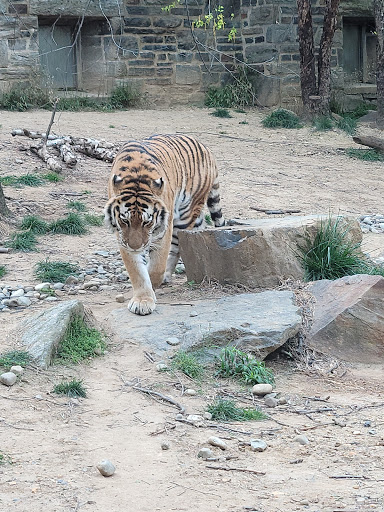 Philadelphia Zoo image 5