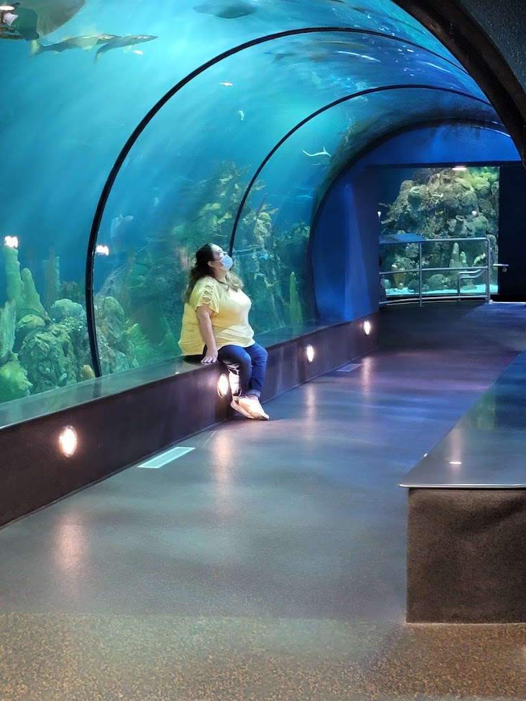 Aquarium At Moody Gardens Galveston, TX 77554 Location, Reviews