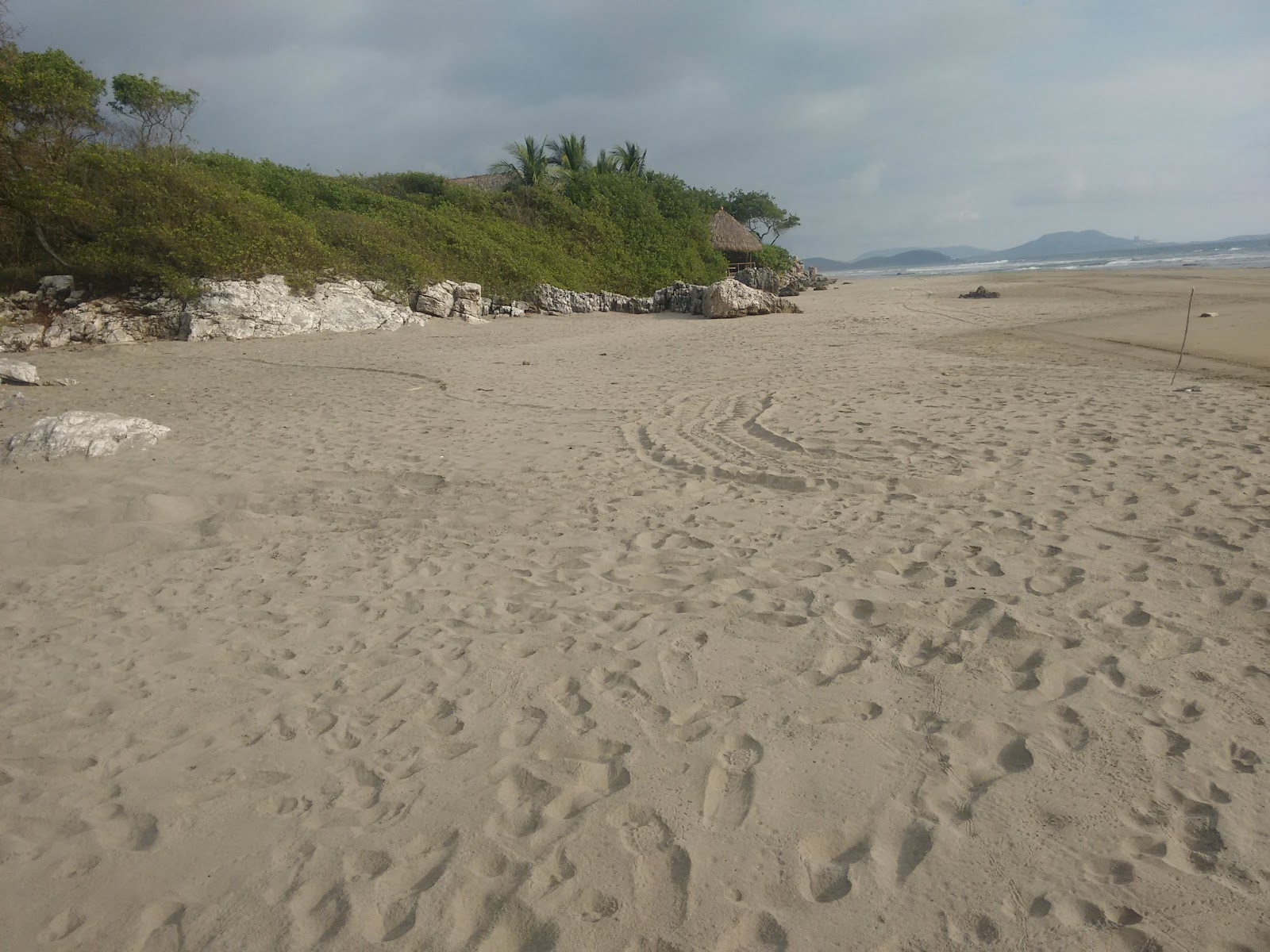 Foto de Playa Buenavista con parcialmente limpio nivel de limpieza