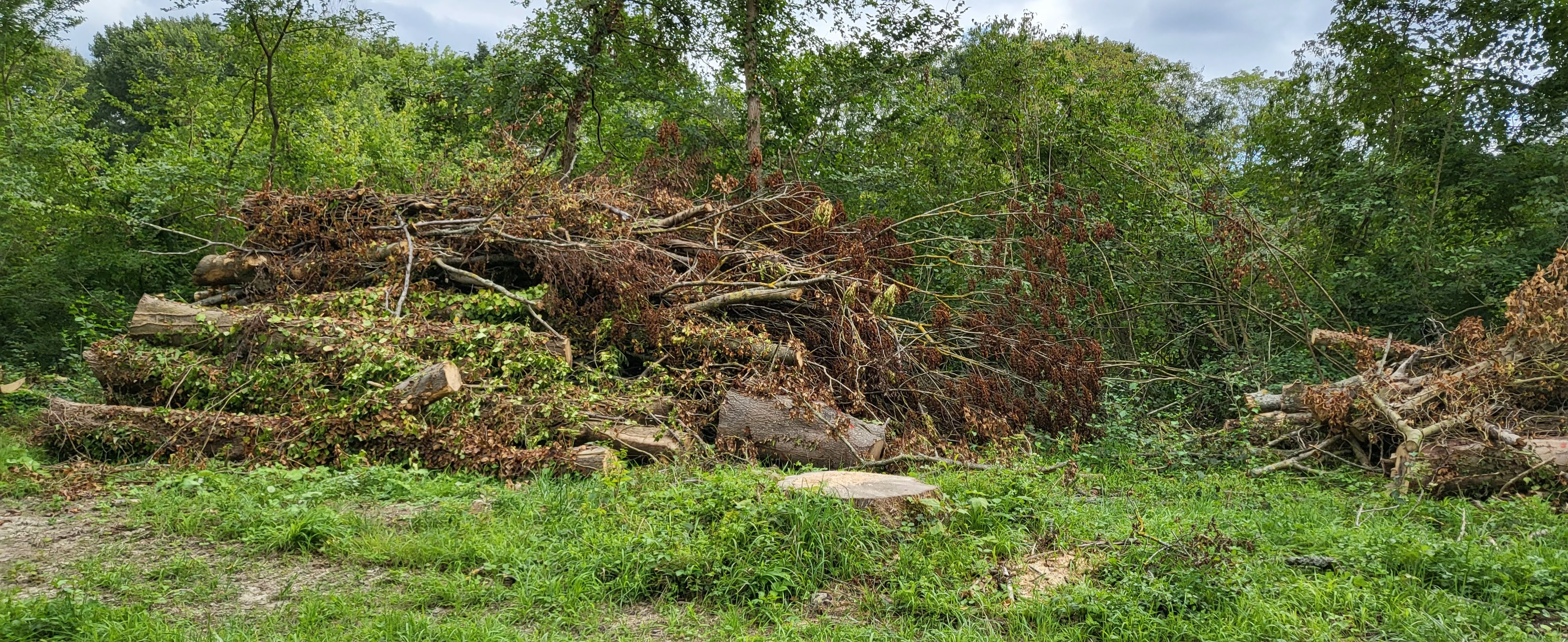 Photo n° 8 de l'avis de R. fait le 28/08/2023 à 09:54