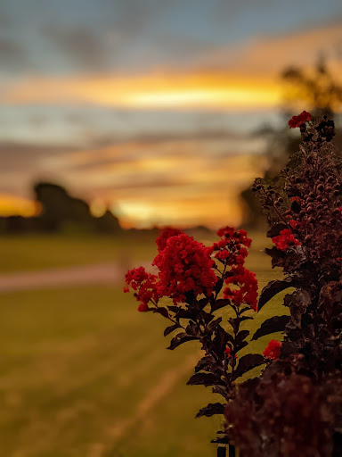 Golf Course «WestRidge Golf Course», reviews and photos, 9055 Cotton Ridge North Road, McKinney, TX 75070, USA