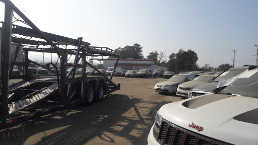 Auto Auction «Insurance Auto Auctions», reviews and photos