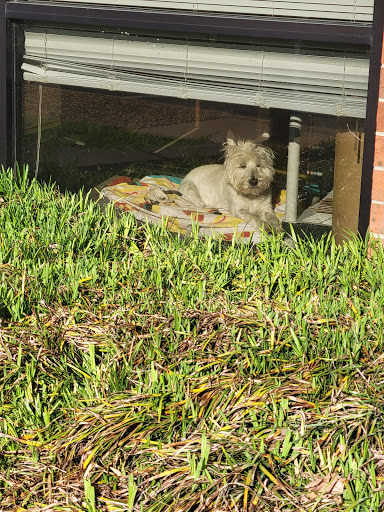 Pet Supply Store «Phydeaux», reviews and photos, 2535 Atlantic Ave, Raleigh, NC 27604, USA