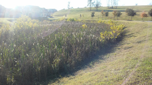 Wedding Venue «Brakefield At Riverwalk», reviews and photos, 1111 Brakefield Drive, Rock Hill, SC 29730, USA