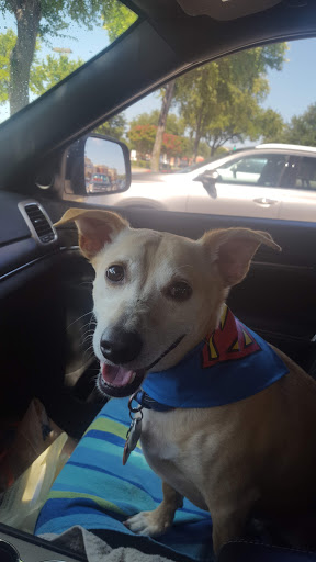 Pet Supply Store «PetSmart», reviews and photos, 860 NE Mall Blvd, Hurst, TX 76053, USA