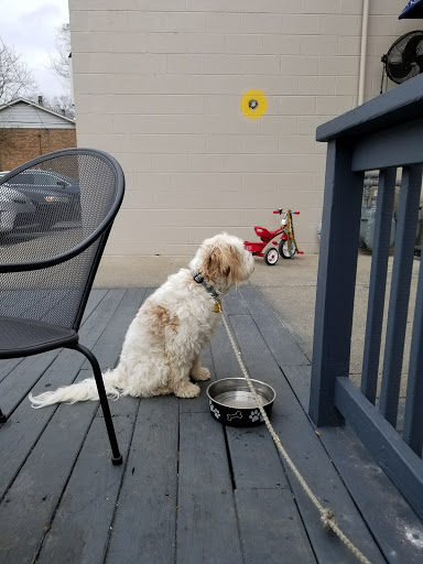 Bagel Shop «Star Bagel Cafe», reviews and photos, 4502 Murphy Rd, Nashville, TN 37209, USA