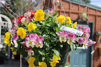 Westwood Gardens Nursery and Garden Art - Photo 7 - Car repair in Rathdrum, ID, Coeur d'Alene