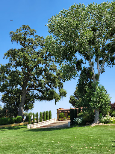 Event Venue «Viaggio Estate & Winery», reviews and photos, 100 E Taddei Rd, Acampo, CA 95220, USA