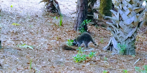 Private Golf Course «Adios Golf Course», reviews and photos, 7740 NW 39th Ave, Coconut Creek, FL 33073, USA