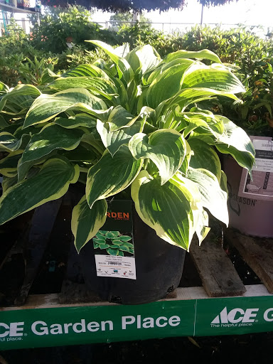 Hardware Store «Westlake Ace Hardware 080», reviews and photos, 708 S Aspen Ave, Broken Arrow, OK 74012, USA