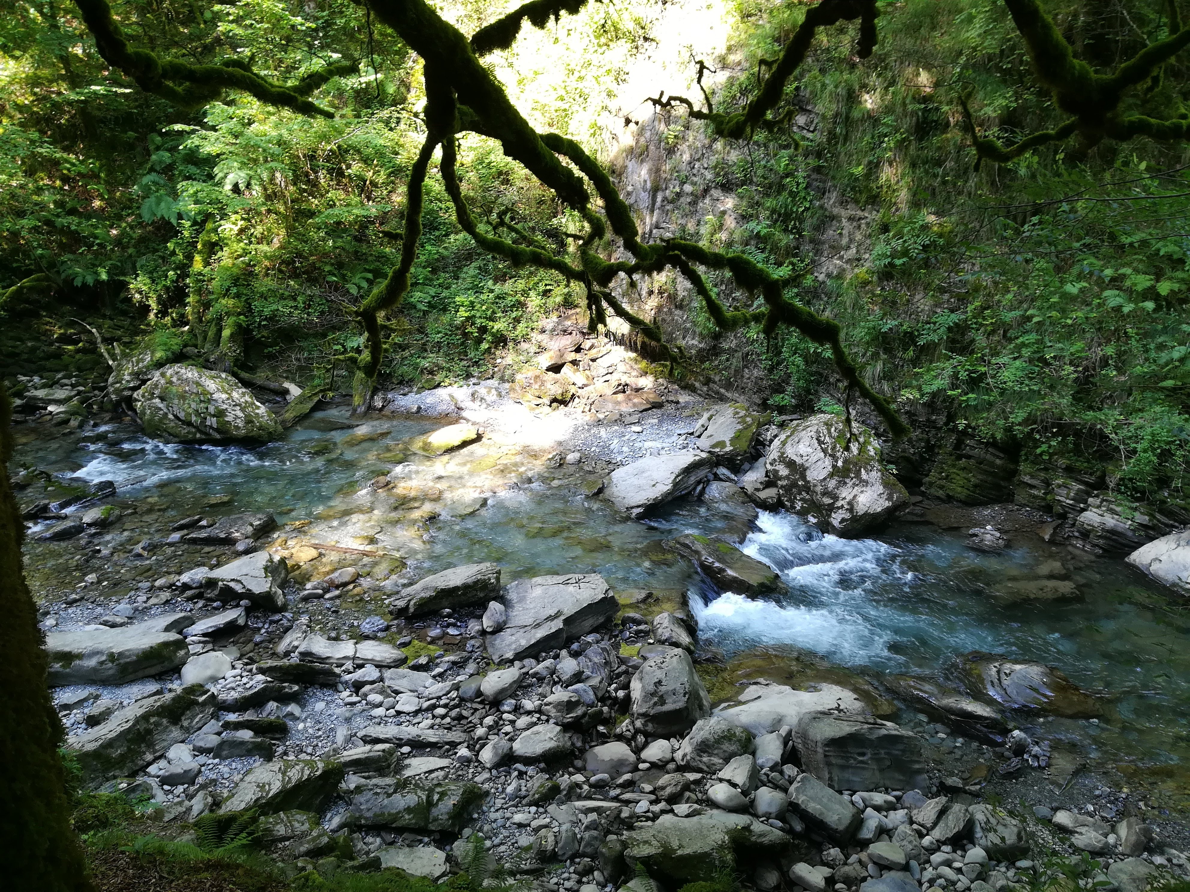Photo n° 8 de l'avis de Caroline. fait le 19/08/2018 à 07:41