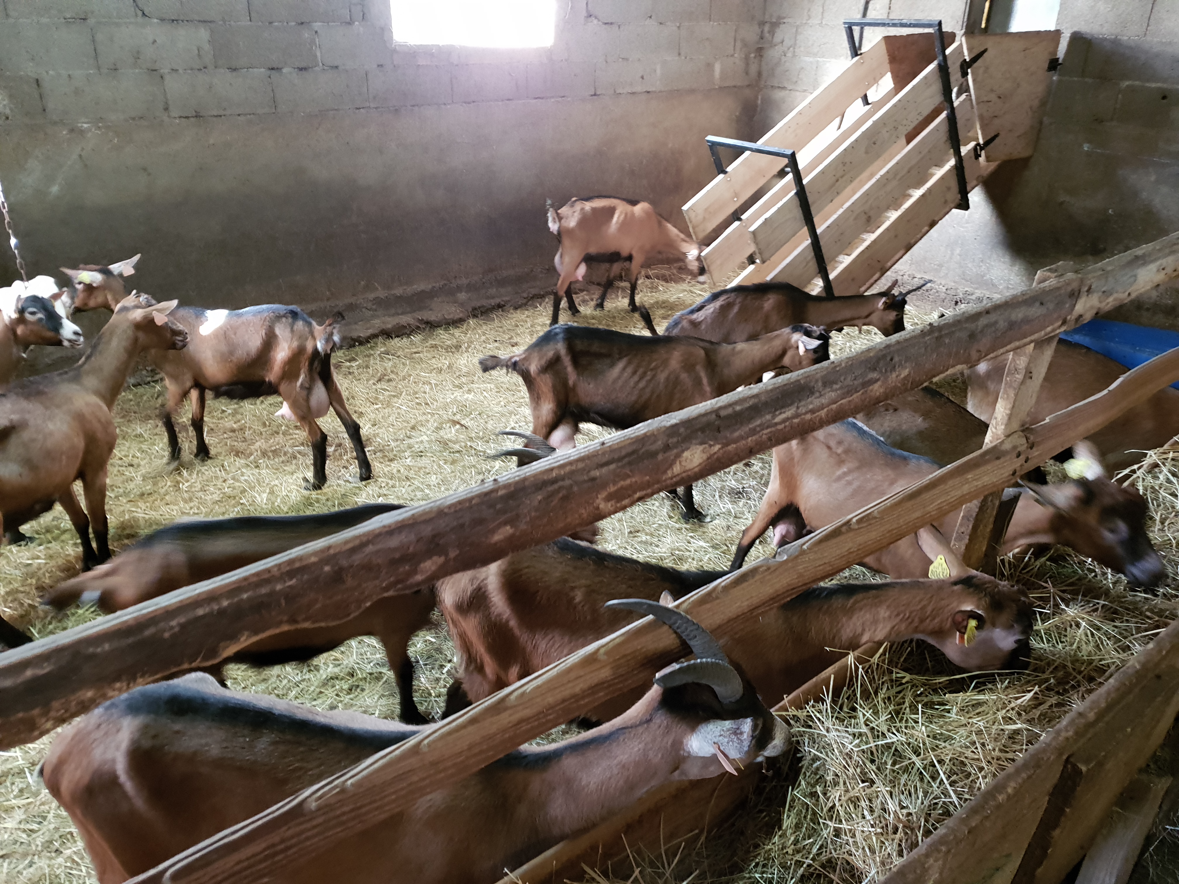 Photo n° 4 de l'avis de Jouvet1991. fait le 09/06/2019 à 08:32