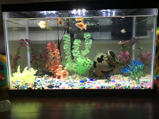 Pet Supply Store «Petco Animal Supplies», reviews and photos, 1052 Williams Reserve Blvd, Wadsworth, OH 44281, USA