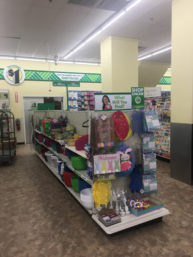 Dollar Store «Dollar Tree», reviews and photos, 100 Mamaroneck Ave, White Plains, NY 10601, USA