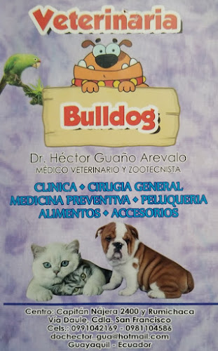 Opiniones de Veterinaria Bulldog en Guayaquil - Veterinario