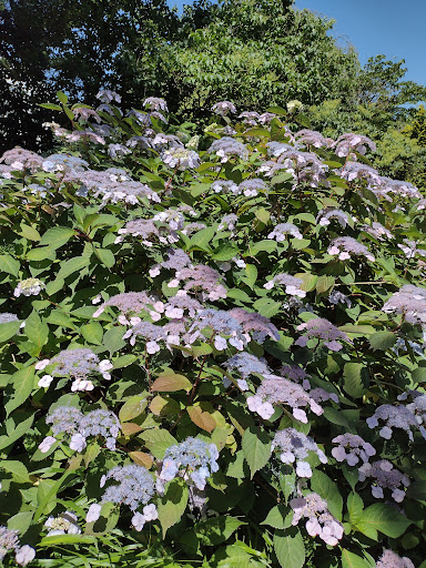 Gift Shop «NYBG Shop», reviews and photos, 2900 Southern Blvd, Bronx, NY 10458, USA