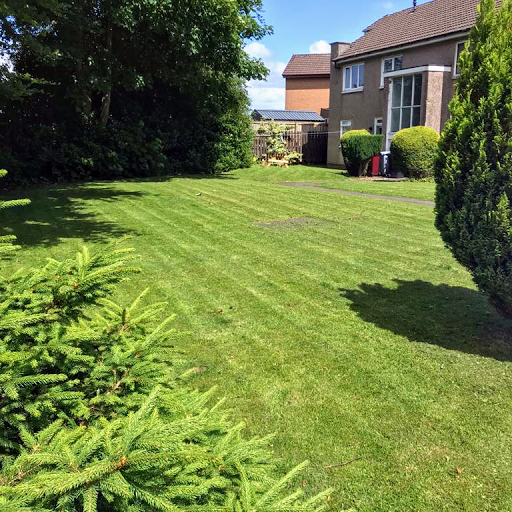 AC Lawn Care