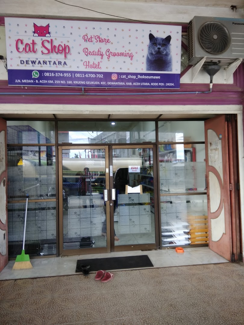 Cat Shop Dewantara Photo