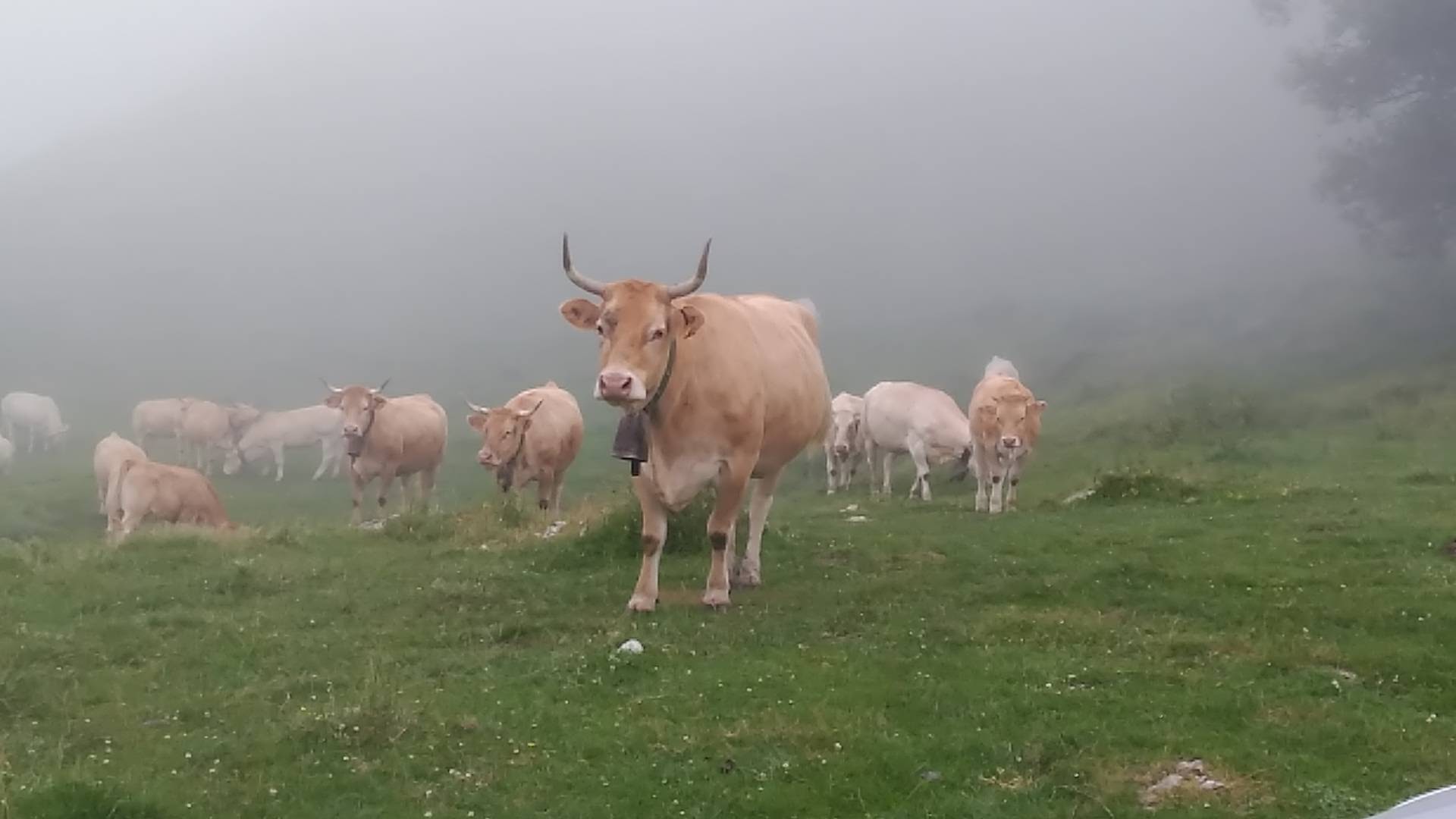 Photo n° 1 de l'avis de Ana.l fait le 30/06/2017 à 18:00