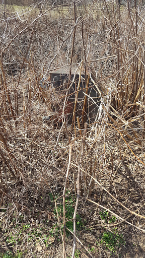 Park «Teegarden Park», reviews and photos, 440 Old State Rd, Berwyn, PA 19312, USA