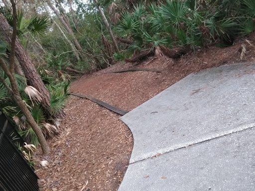 Park «Baybridge Park», reviews and photos, 10020 Bridgeton Dr, Westchase, FL 33626, USA