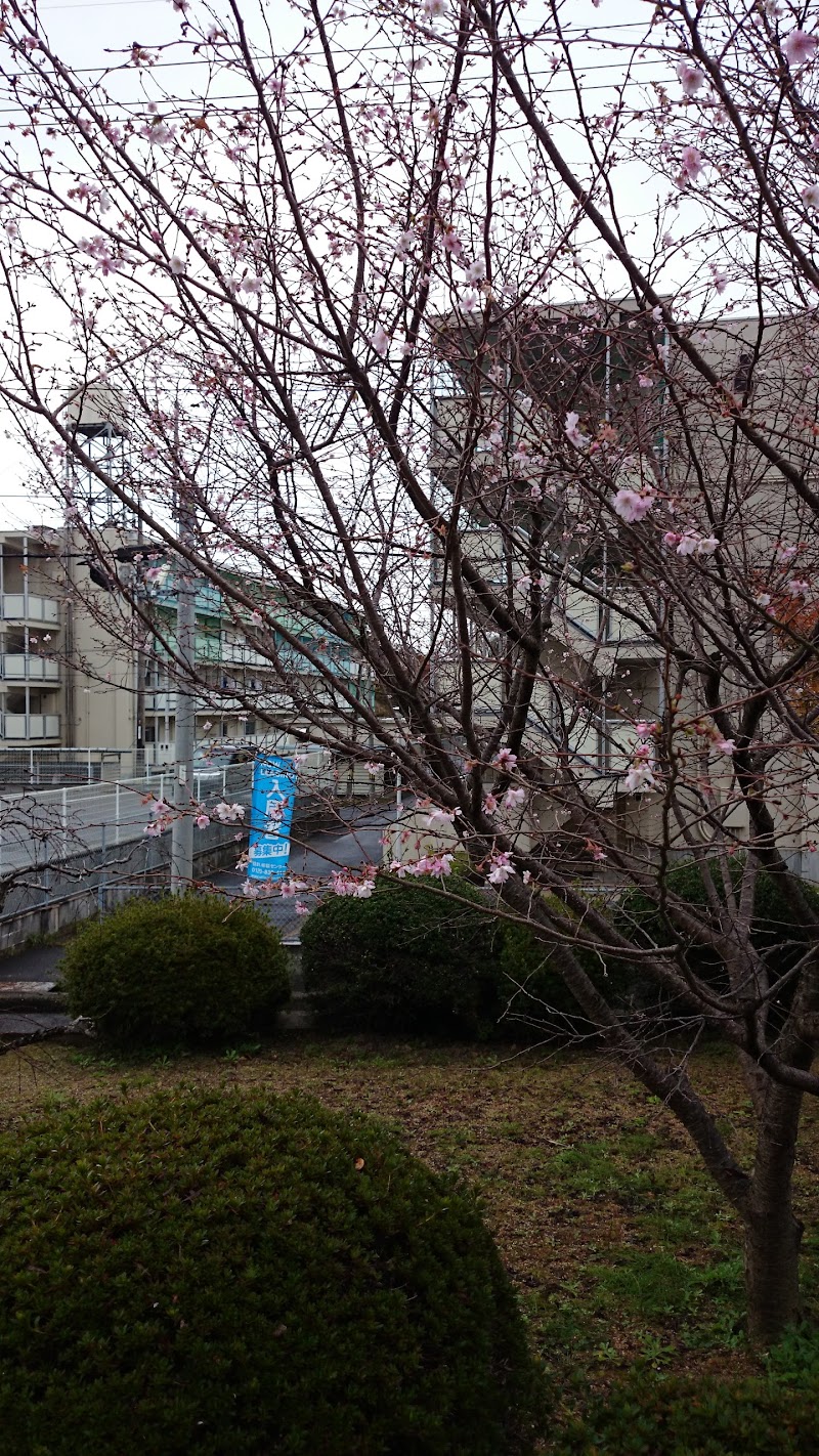 萬福寺 山口県山陽小野田市小野田 仏教寺院 神社 寺 グルコミ