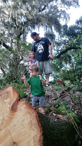 Park «Davis Park», reviews and photos, 612 N Parsons Ave, Brandon, FL 33510, USA