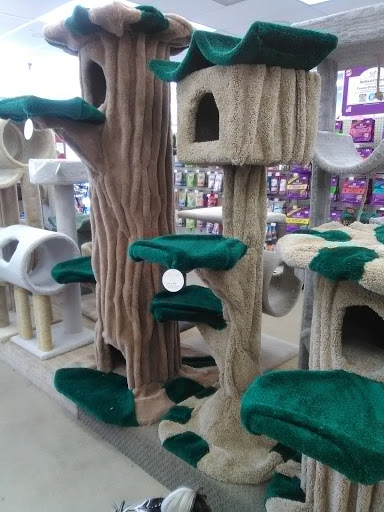 Pet Supply Store «Pet Supply», reviews and photos, 18545 Brookhurst St, Fountain Valley, CA 92708, USA