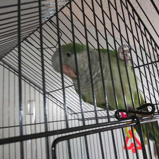 Pet Supply Store «Petco Animal Supplies», reviews and photos, 405 W Loop 281, Longview, TX 75605, USA