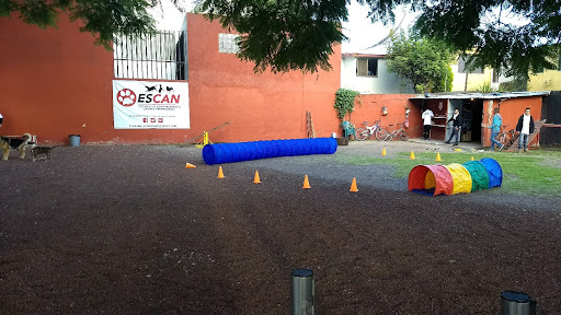 Escan Escuela de Adiestramiento Canino Profesional