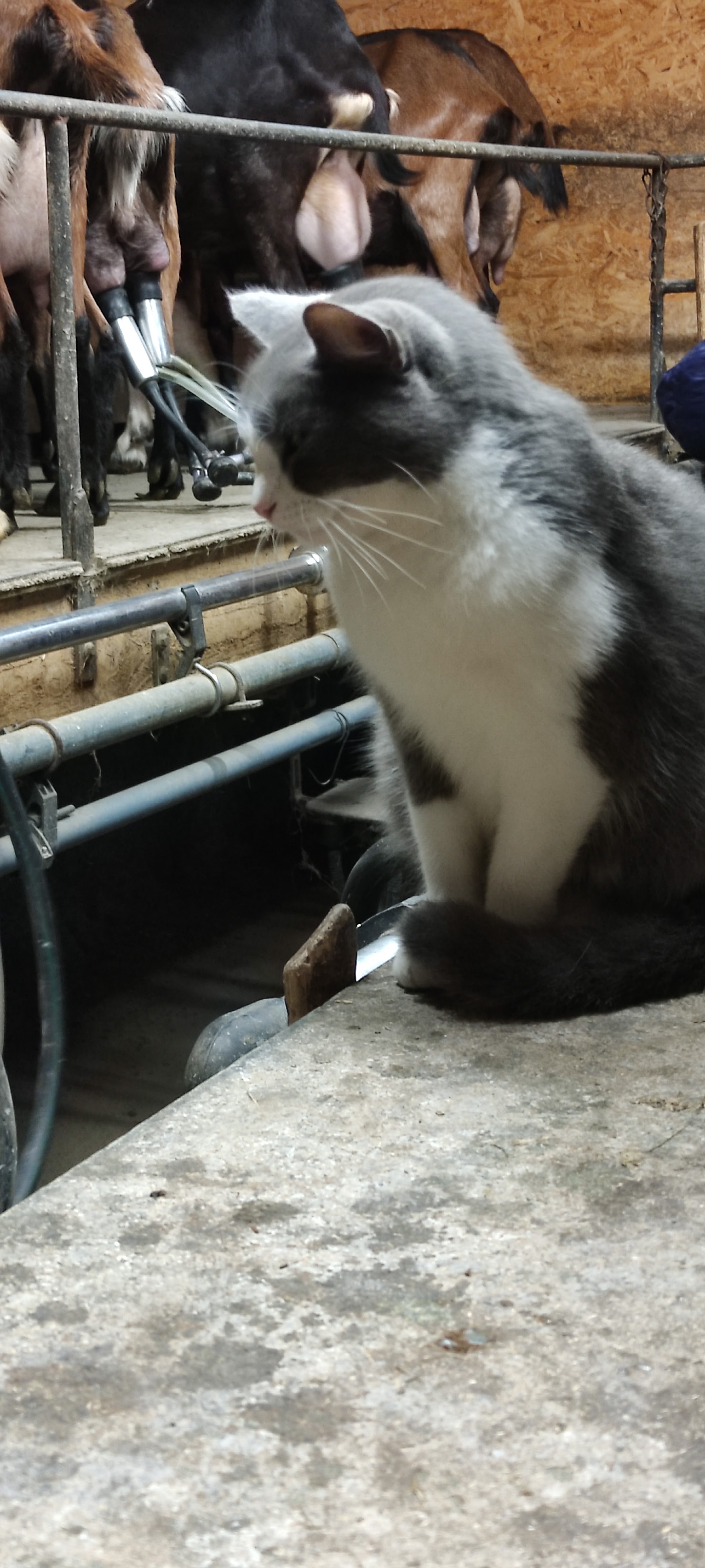 Photo n° 1 de l'avis de Laurent.a fait le 25/10/2021 à 21:48
