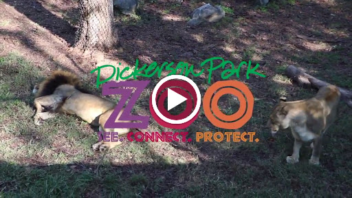 Zoo «Dickerson Park Zoo», reviews and photos, 1401 W Norton Rd, Springfield, MO 65803, USA