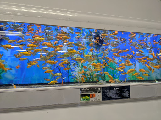 Pet Supply Store «Petco Animal Supplies», reviews and photos, 45 Holyoke St, Holyoke, MA 01040, USA