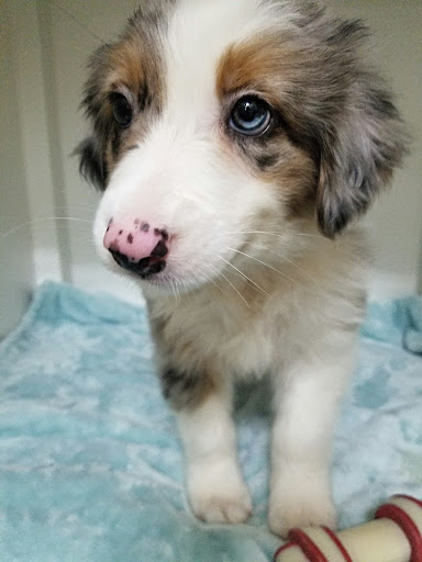 Shopping Mall «Hampton Plaza Shopping Center», reviews and photos, 4033 W Mercury Blvd, Hampton, VA 23666, USA