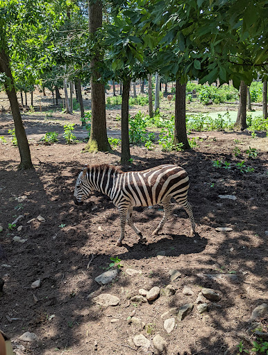 Zoo «Catoctin Wildlife Preserve and Zoo», reviews and photos, 13019 Catoctin Furnace Rd, Thurmont, MD 21788, USA